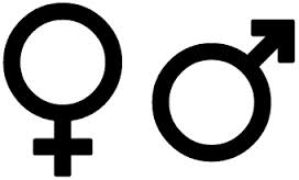 Les femmes, grandes absentes de la presse écrite et du web Les femmes, grandes absentes de la presse écrite et du web